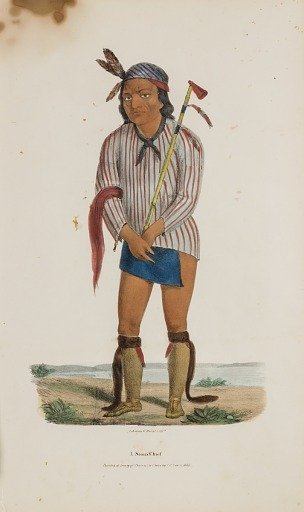 A Sioux Chief, from The Aboriginal Portfolio