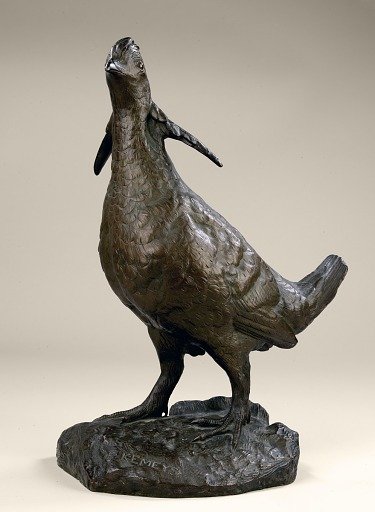 Prairie Chicken