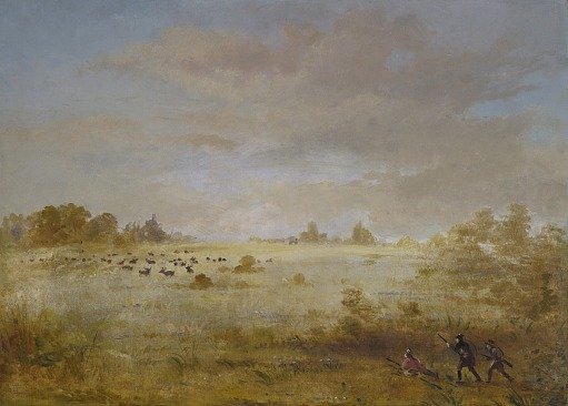 Elk Grazing on an Autumn Prairie