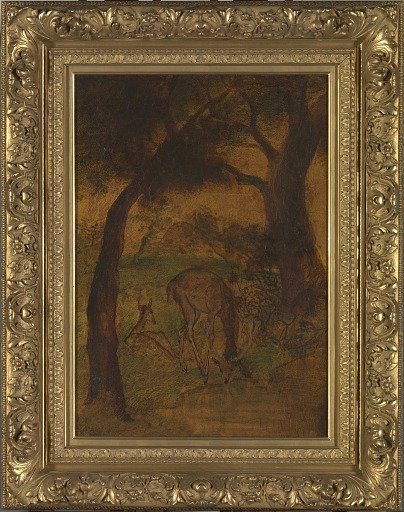 A Stag Drinking