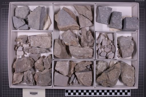 mixed taxa, stratigraphic collection