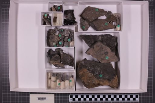 mixed taxa, stratigraphic collection