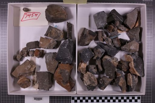 mixed taxa, stratigraphic collection