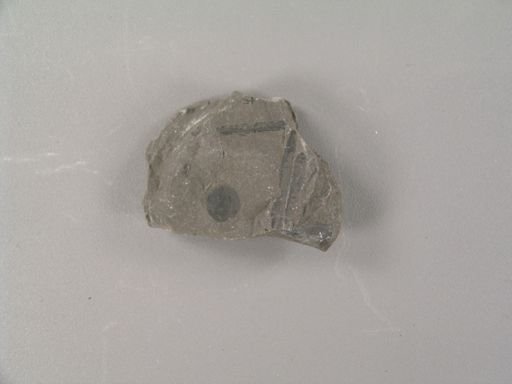 Sigillaria minuta