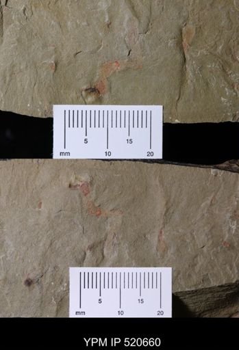 Problematica