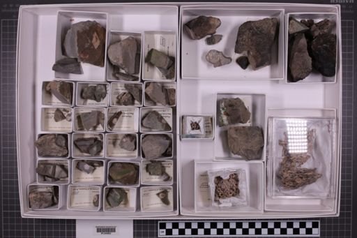 mixed taxa, stratigraphic collection