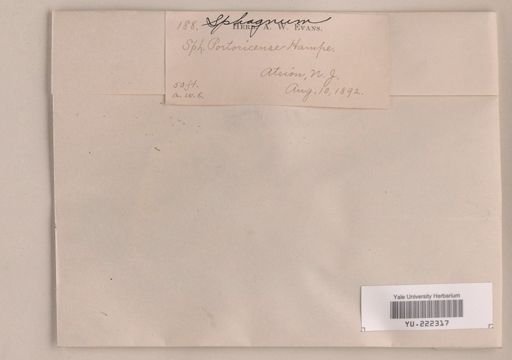 Sphagnum portoricense