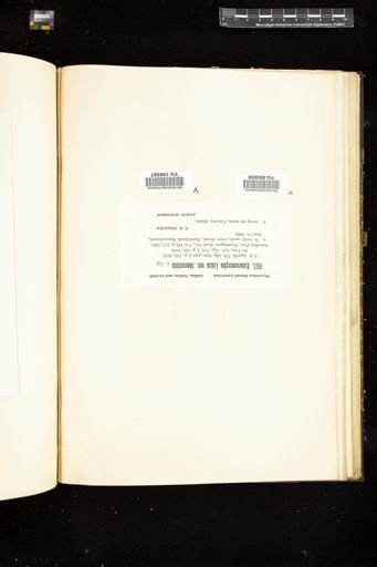 Enteromorpha linza var. lanceolata