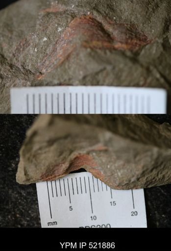Problematica