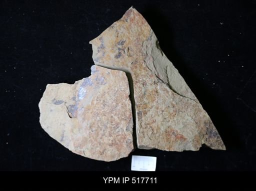 Problematica