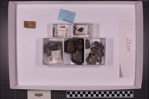 mixed taxa, stratigraphic collection