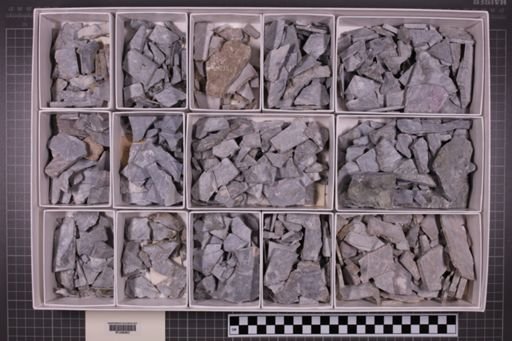 mixed taxa, stratigraphic collection