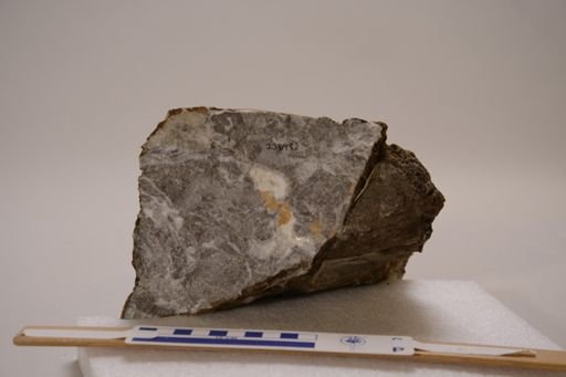 Palaeoaplysina