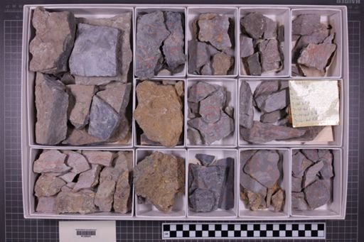 mixed taxa, stratigraphic collection