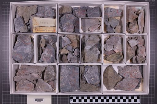mixed taxa, stratigraphic collection