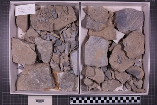 mixed taxa, stratigraphic collection