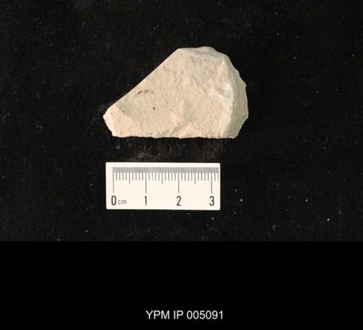 Psocidium minimum