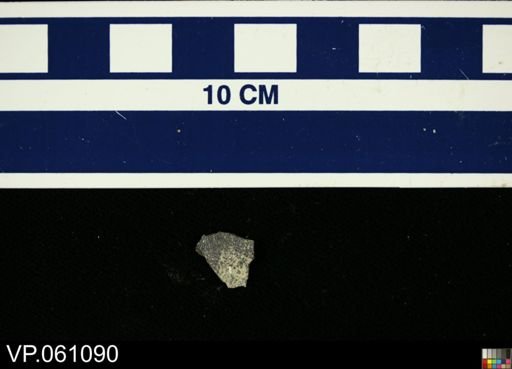 Lepisosteidae
