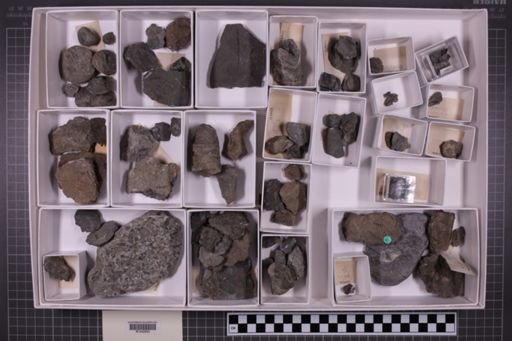 mixed taxa, stratigraphic collection