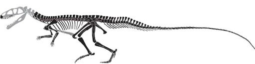 Poposaurus gracilis