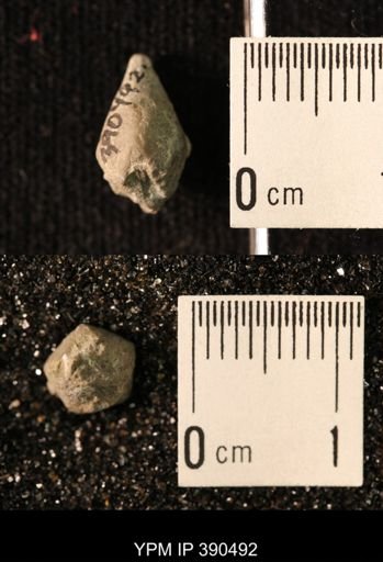 Heteroschisma