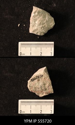 Productus pertenuis
