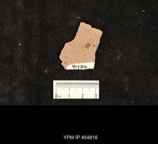 undet. Problematica