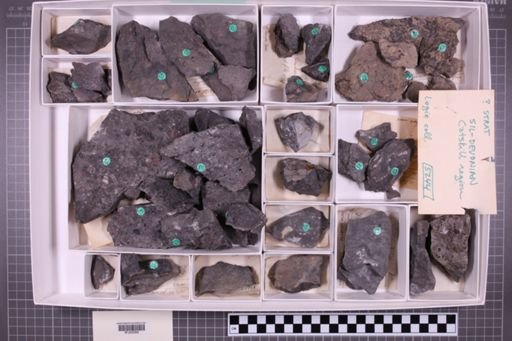 mixed taxa, stratigraphic collection