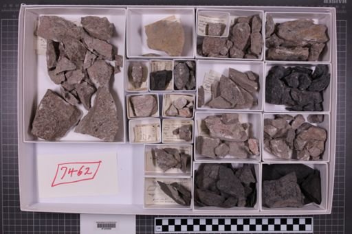 mixed taxa, stratigraphic collection