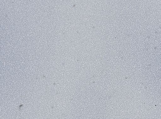 Plasmodium vivax