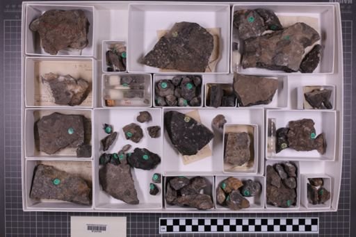 mixed taxa, stratigraphic collection