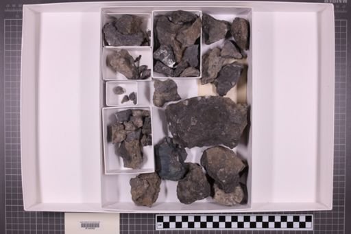 mixed taxa, stratigraphic collection