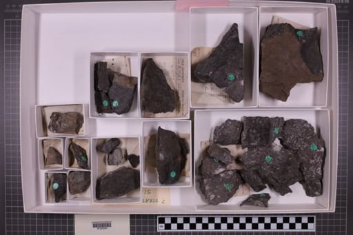 mixed taxa, stratigraphic collection