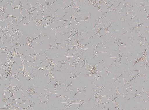 cf. Prosuberites