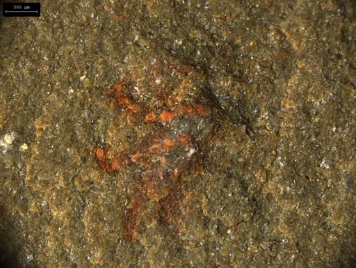 Lobopodia?