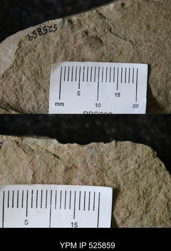 Problematica