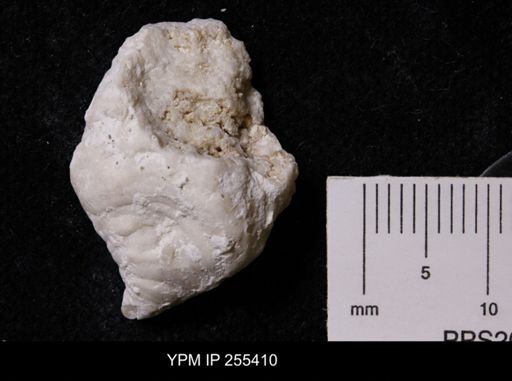 Virgola?