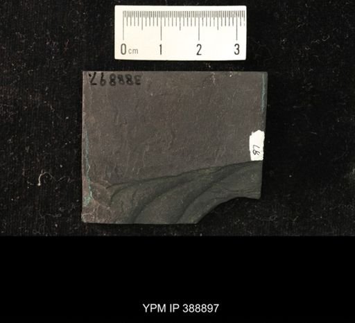 Problematica
