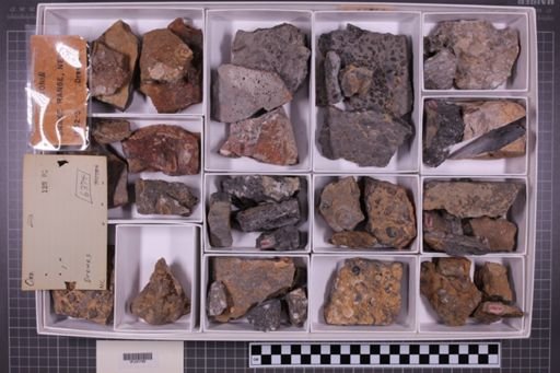 mixed taxa, stratigraphic collection