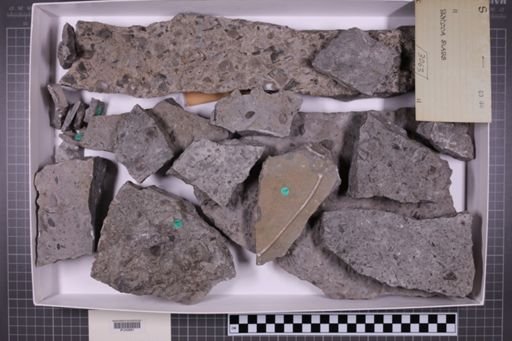 mixed taxa, stratigraphic collection