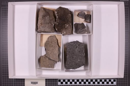 mixed taxa, stratigraphic collection