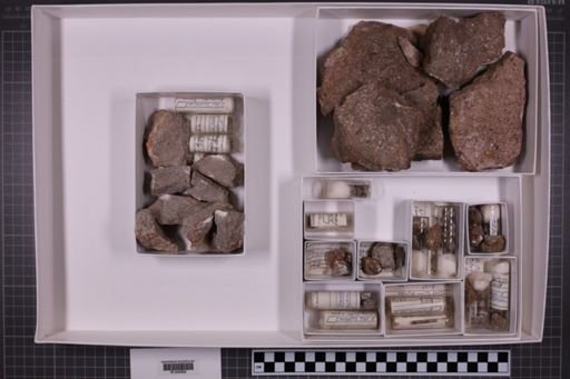 mixed taxa, stratigraphic collection