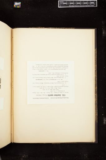 Gloeothece rupestris