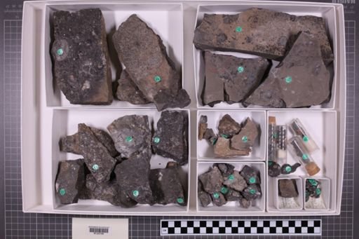 mixed taxa, stratigraphic collection