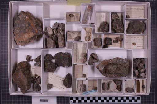 mixed taxa, stratigraphic collection