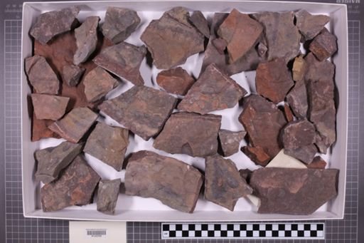 mixed taxa, stratigraphic collection