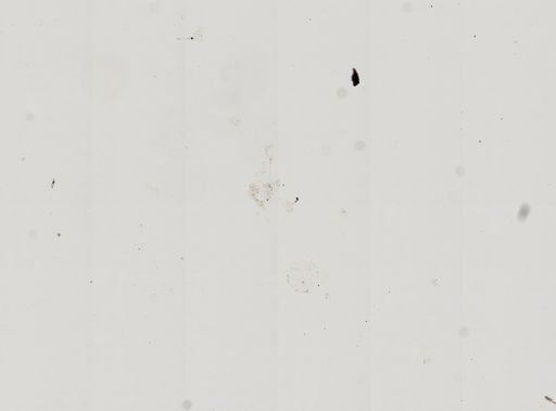 Amoeba dubia