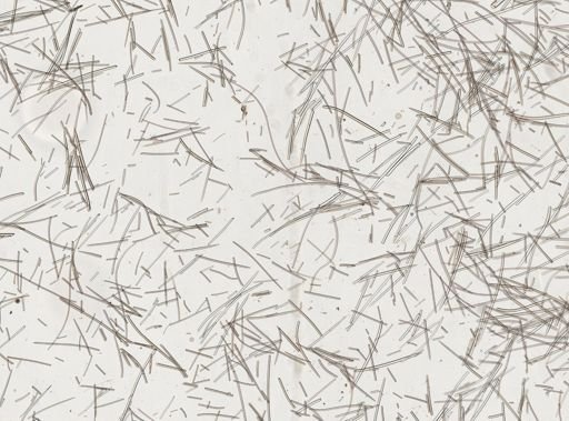 Acanthella mastophora