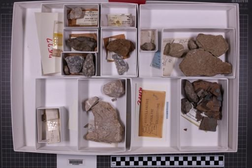 mixed taxa, stratigraphic collection