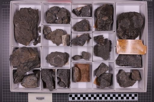 mixed taxa, stratigraphic collection
